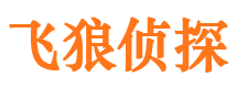 秀峰市私家侦探